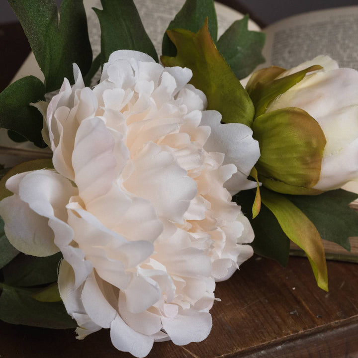 White Fashion Peony - TidySpaces