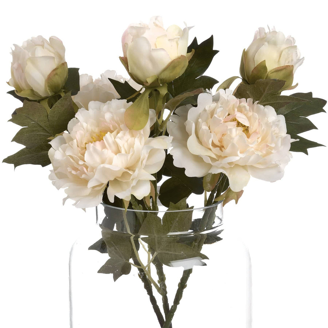 White Fashion Peony - TidySpaces