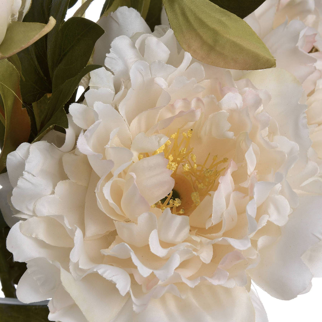 White Fashion Peony - TidySpaces