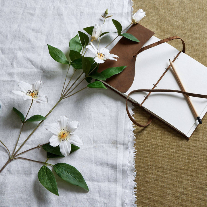 White Florida Clematis - TidySpaces