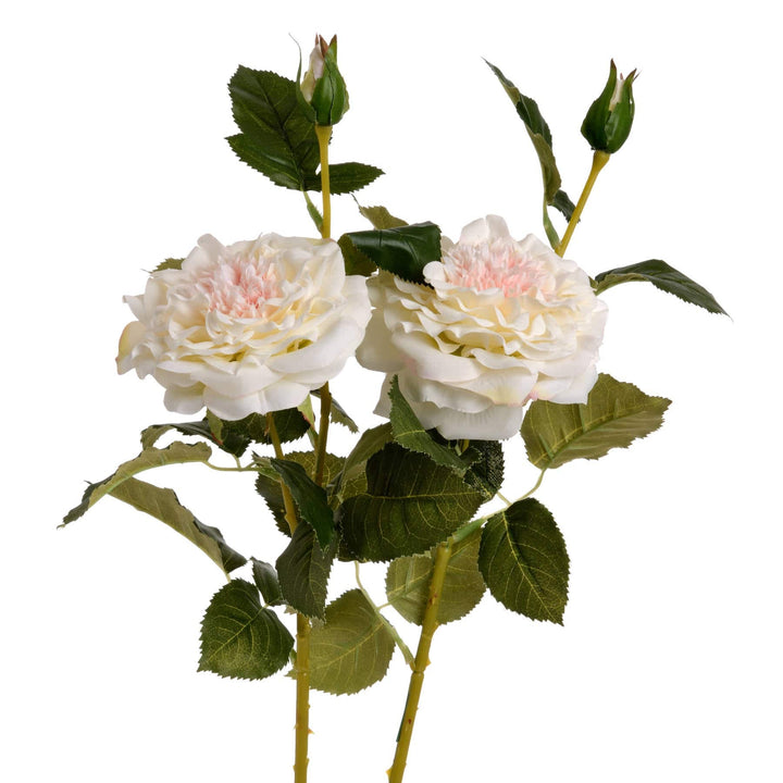 White Garden Rose Spray - TidySpaces