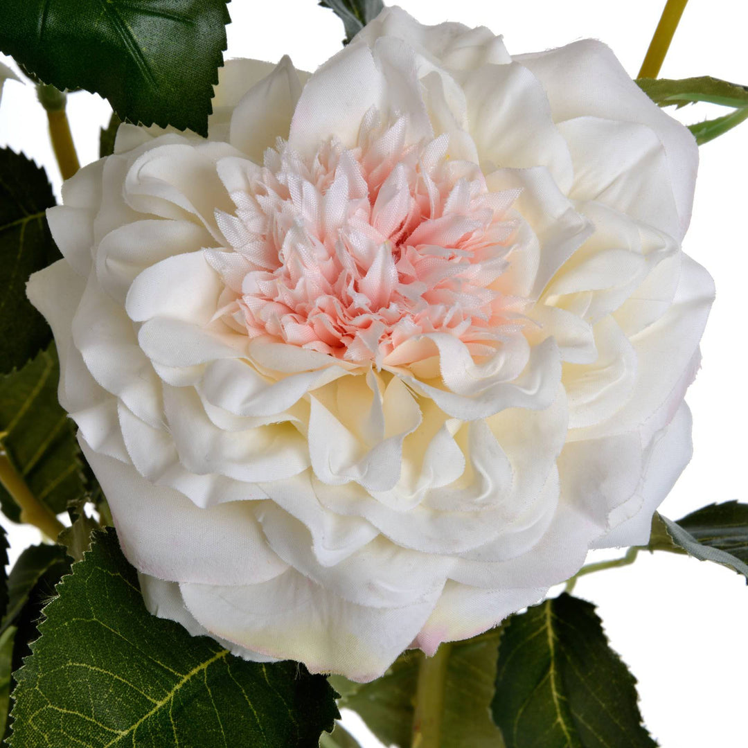 White Garden Rose Spray - TidySpaces