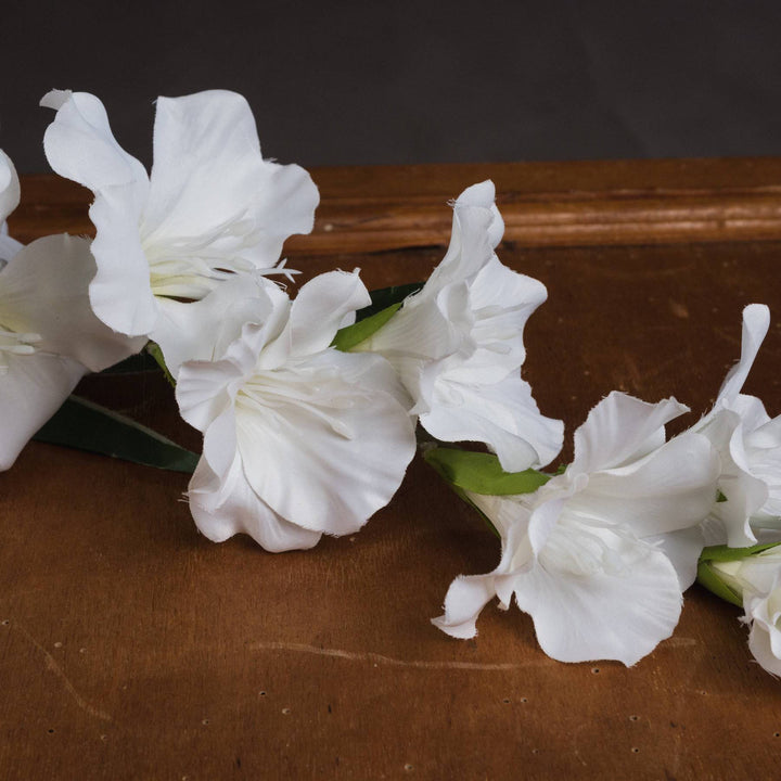 White Gladioli - TidySpaces