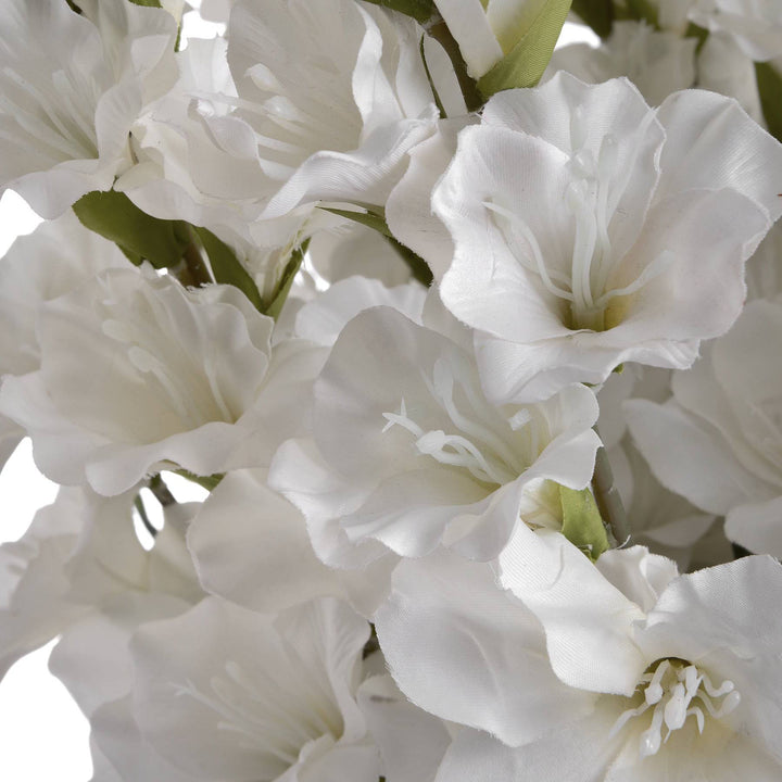 White Gladioli - TidySpaces