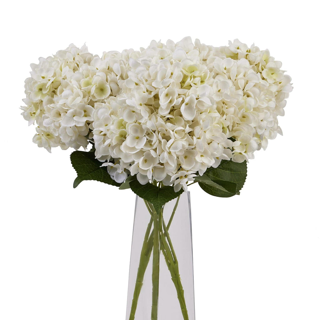 White Hydrangea Bunch - TidySpaces