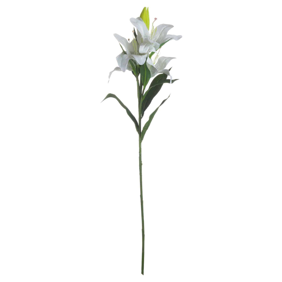 White Lily - TidySpaces