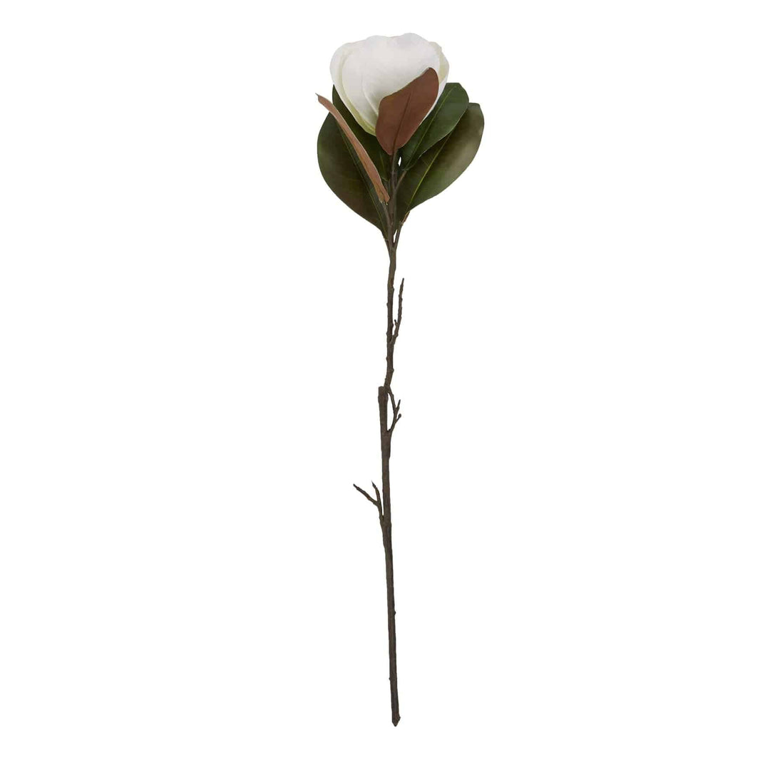 White Magnolia Stem - TidySpaces