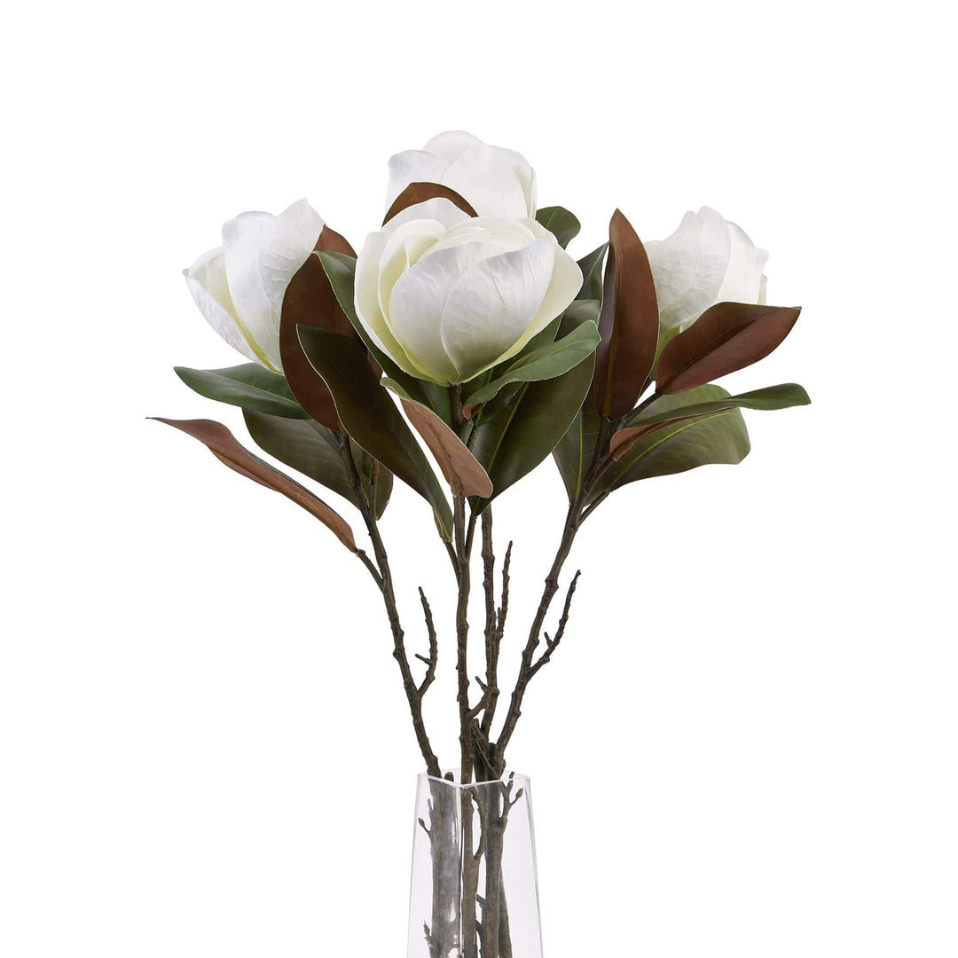 White Magnolia Stem - TidySpaces