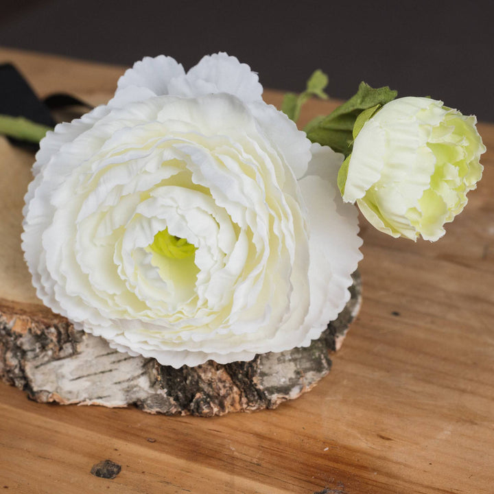 White Ranunculus Spray - TidySpaces