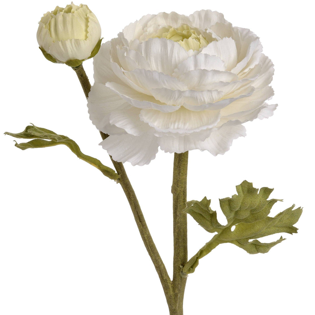 White Ranunculus Spray - TidySpaces