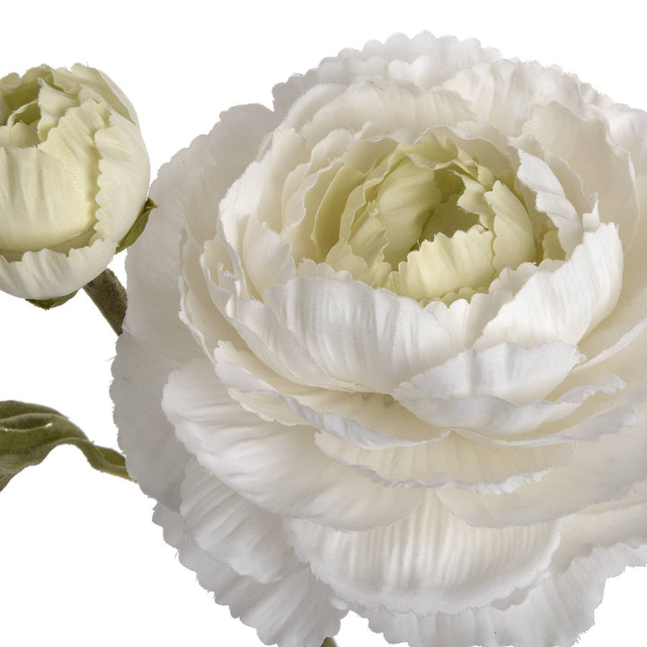 White Ranunculus Spray - TidySpaces