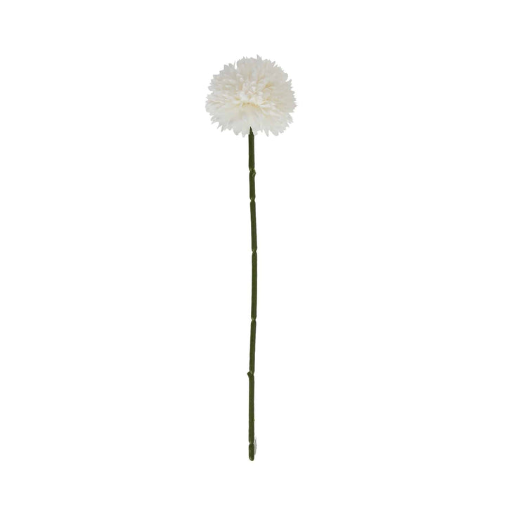 White Short Chrysanthemum - TidySpaces