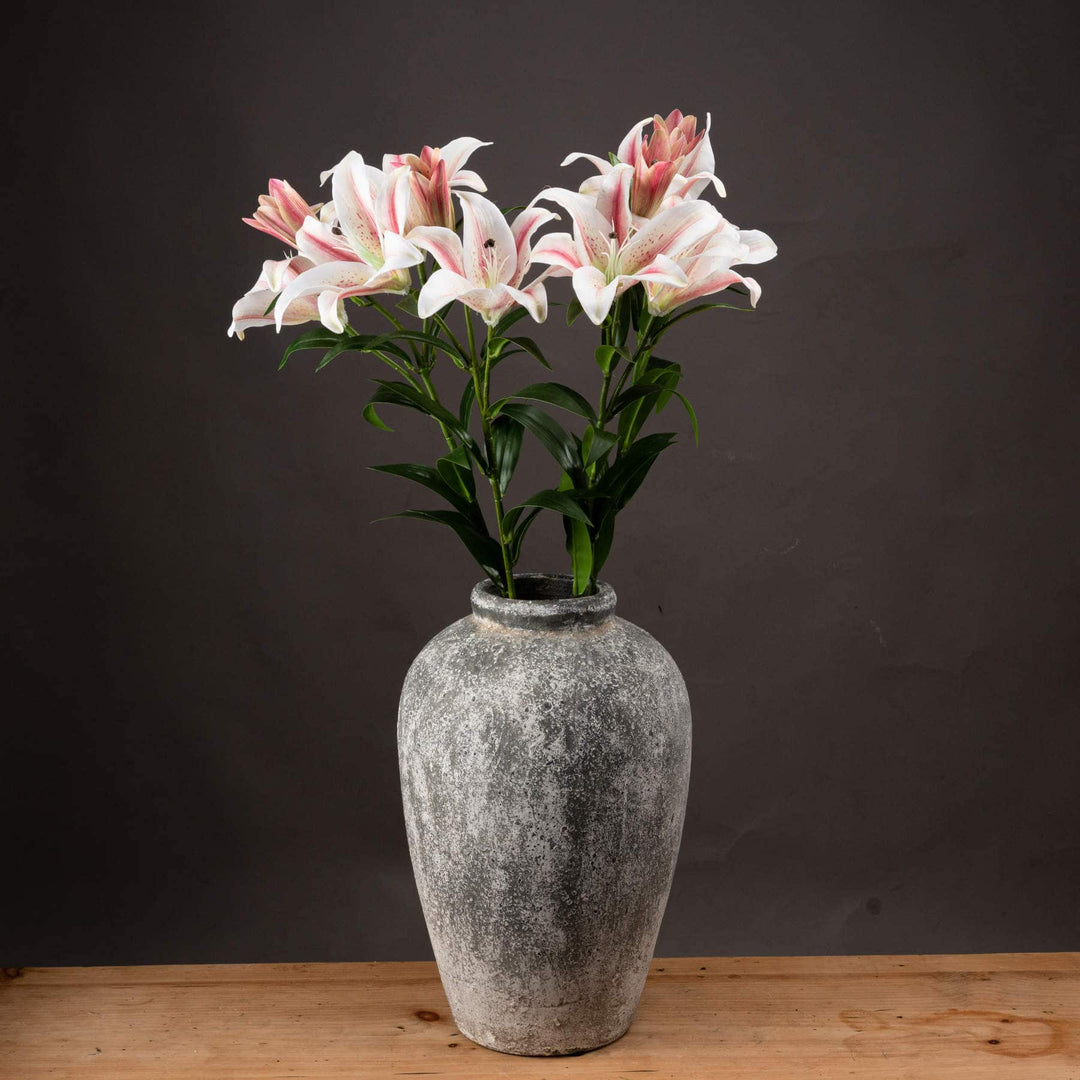 Stargazer Lily - TidySpaces