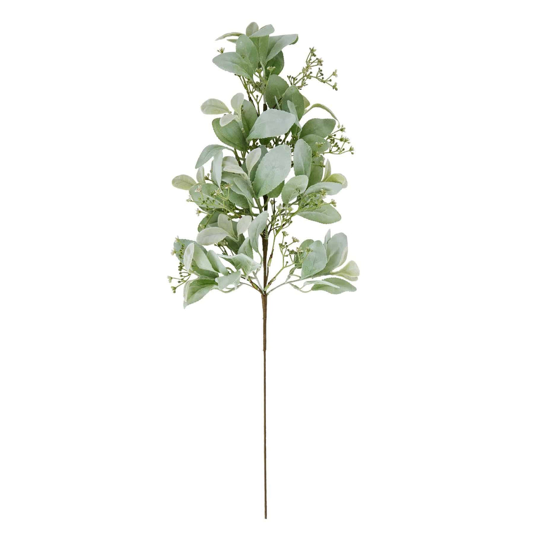 Large Winter Sprig With Lambs Ear And Wax Flower - TidySpaces