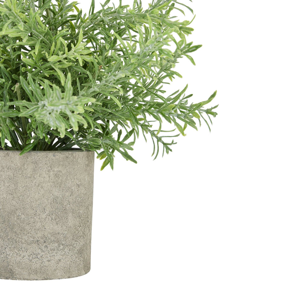 Rosemary Plant In Stone Effect Pot - TidySpaces