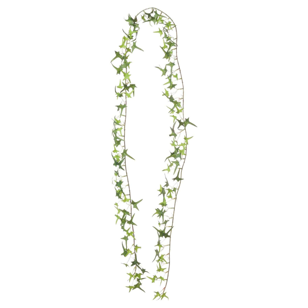 Small Ivy Garland - TidySpaces
