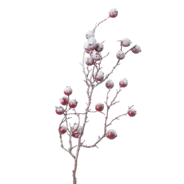 Large Red Festive Berry - TidySpaces