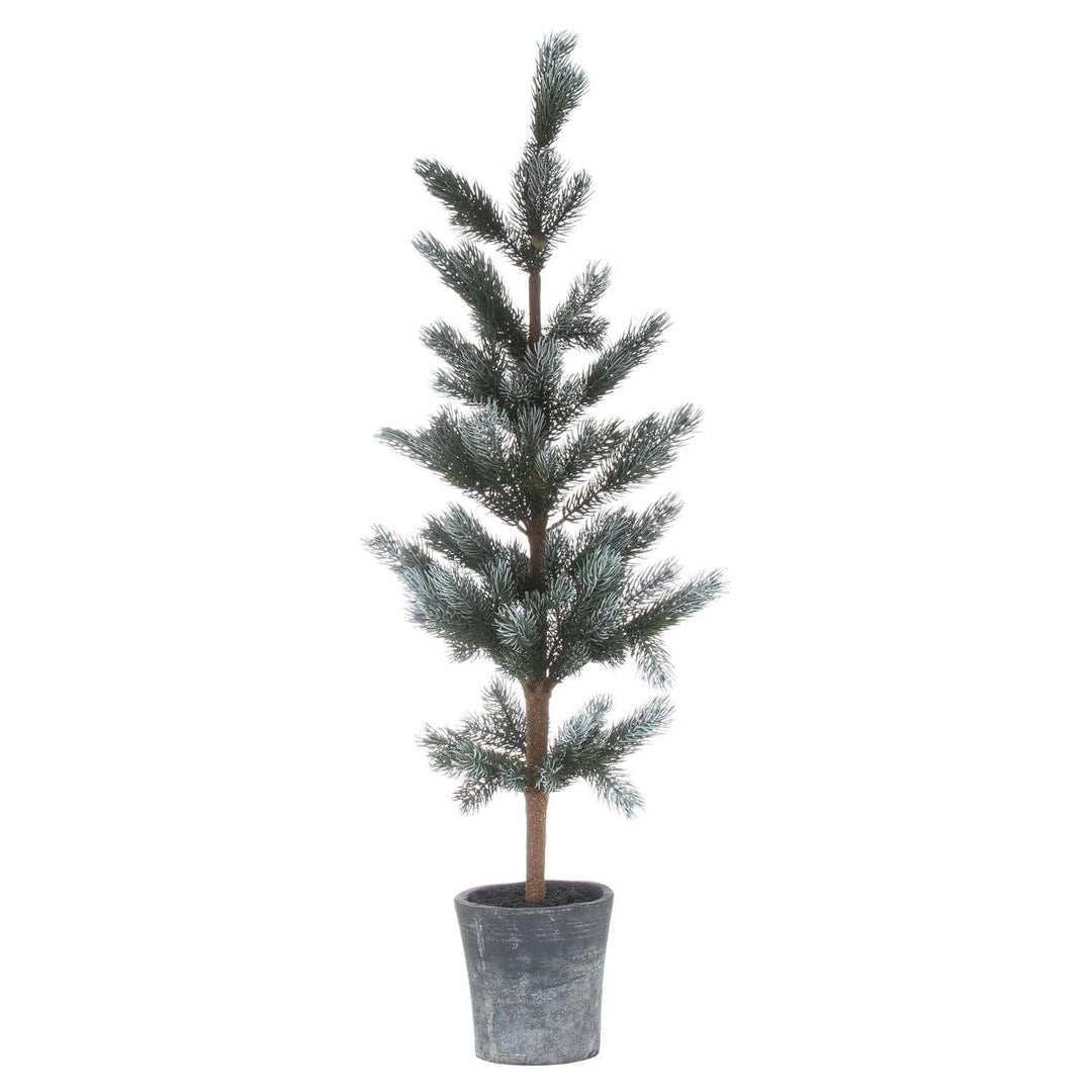 Christmas Fir Tree In Stone Pot - TidySpaces