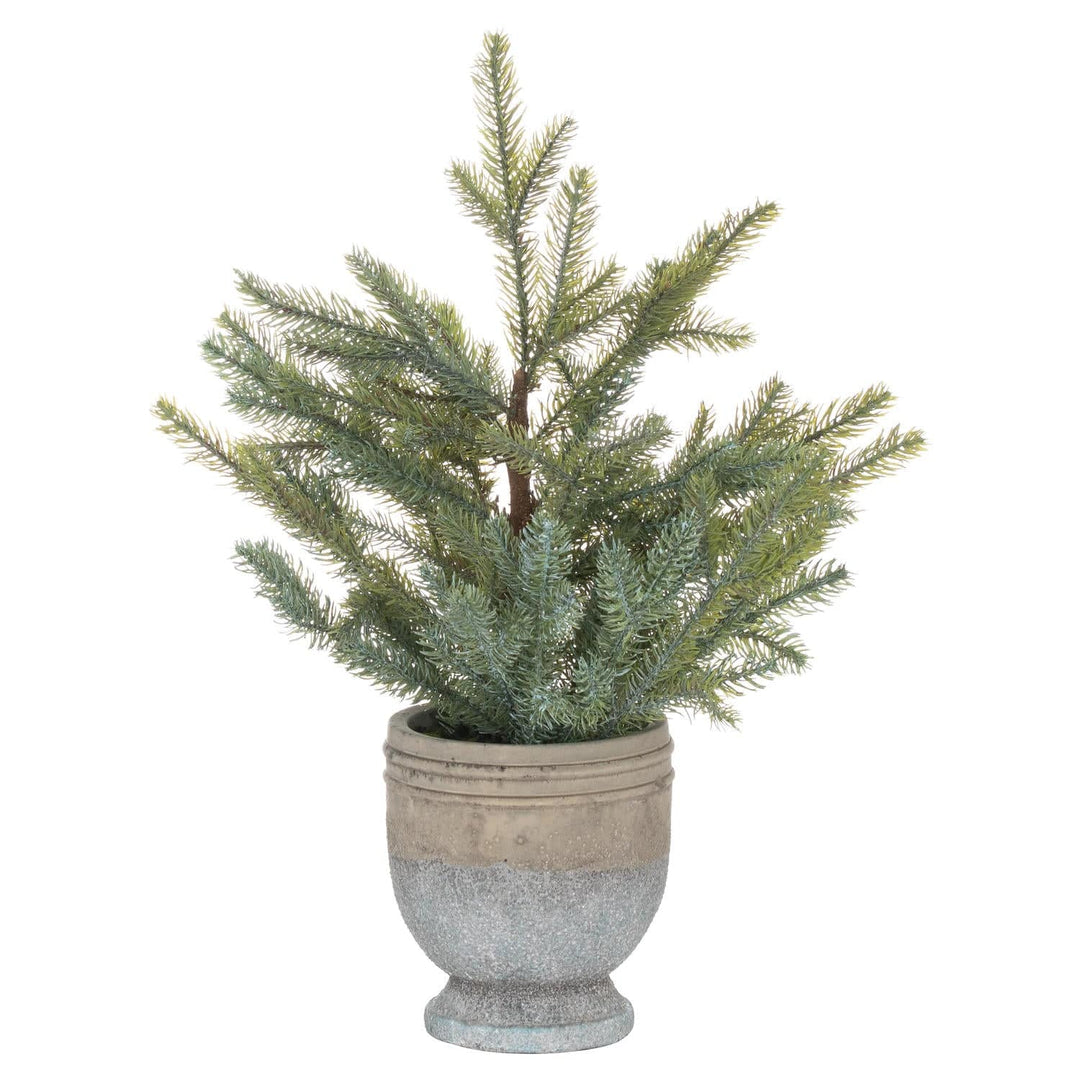 Garda Pine Tree In Stone Pot - TidySpaces