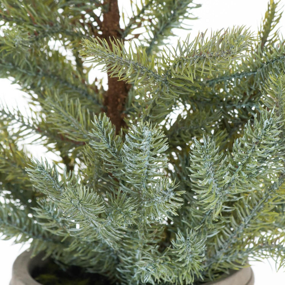 Garda Pine Tree In Stone Pot - TidySpaces