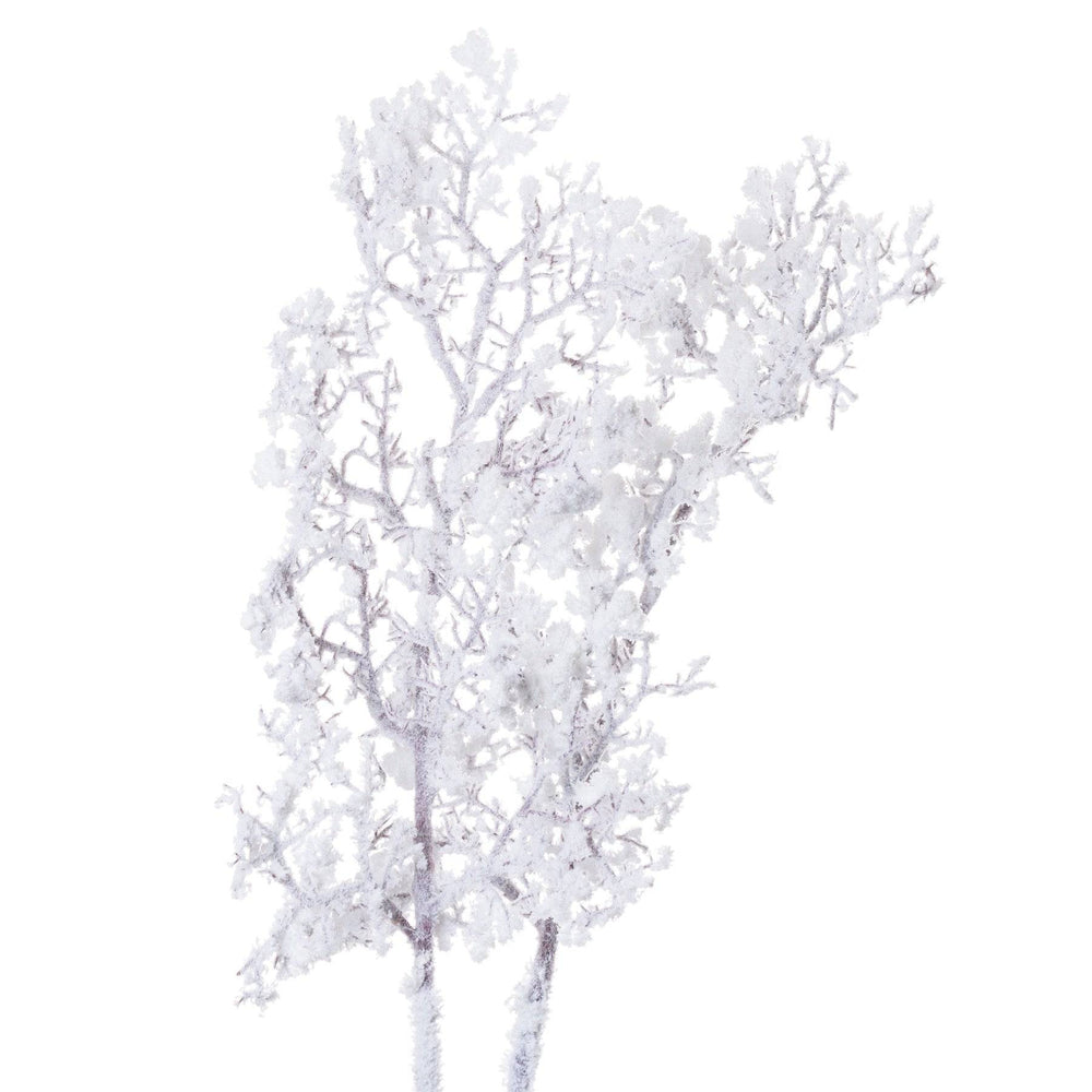 Snowy Branch - TidySpaces