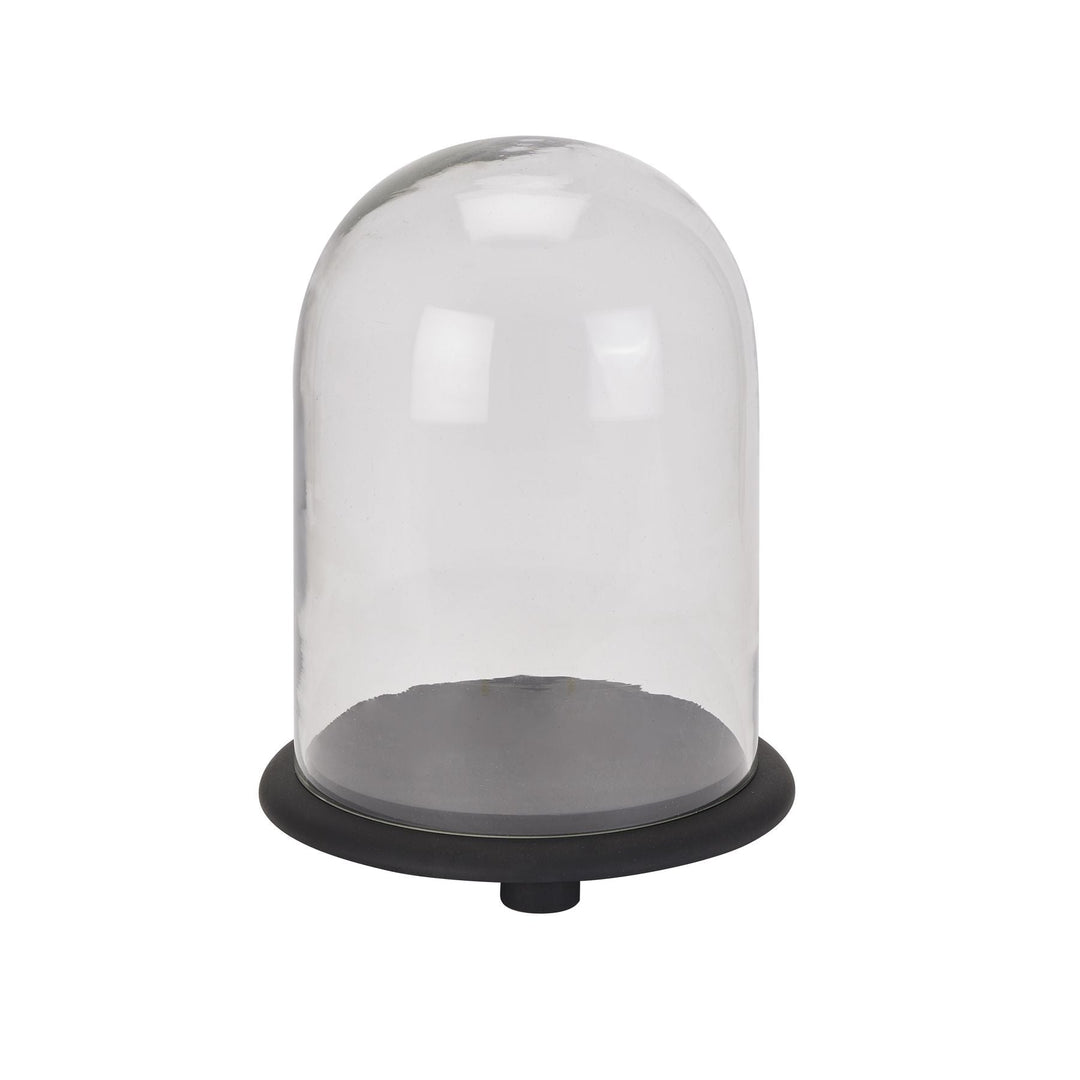 Black Dome Cloche - TidySpaces