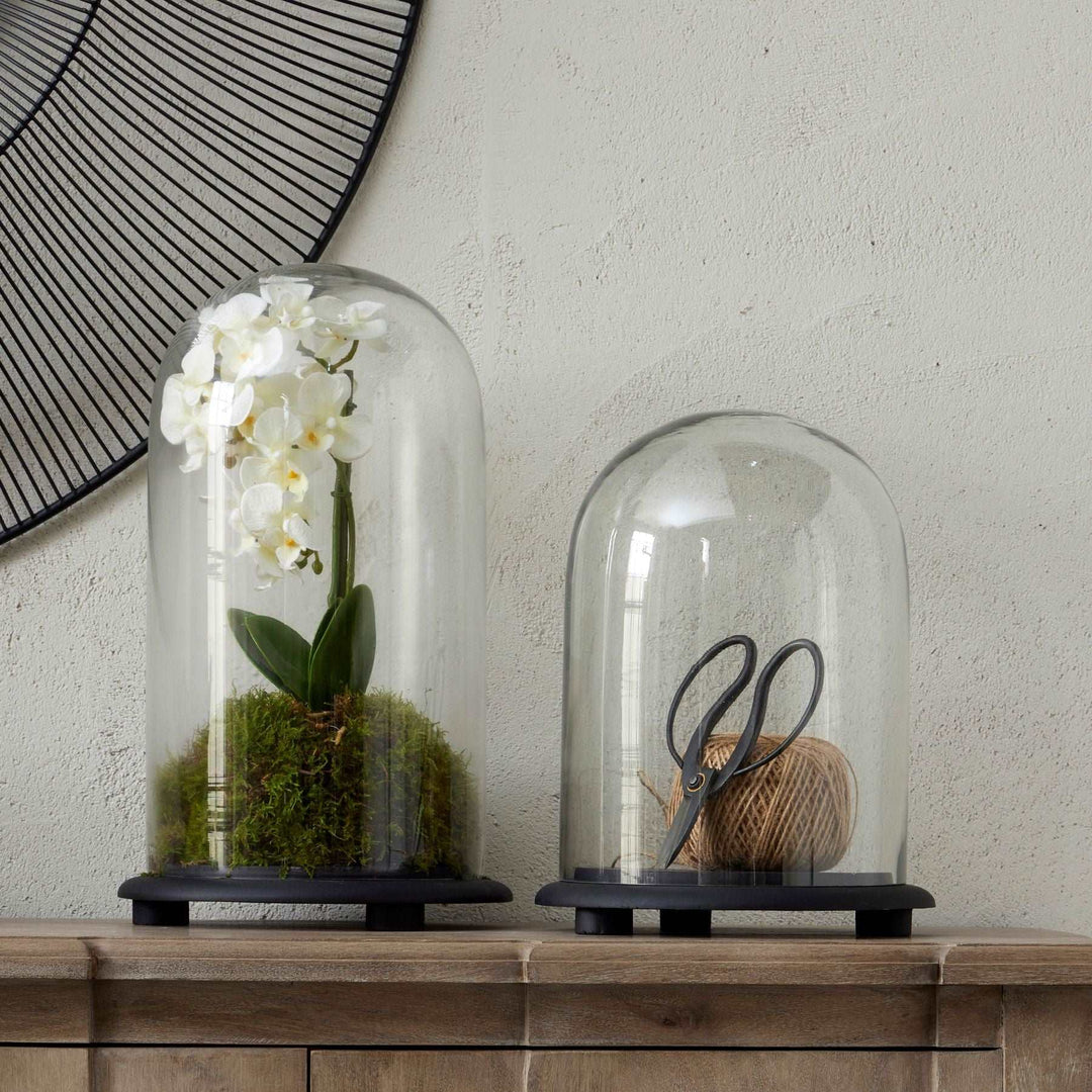 Black Dome Cloche - TidySpaces