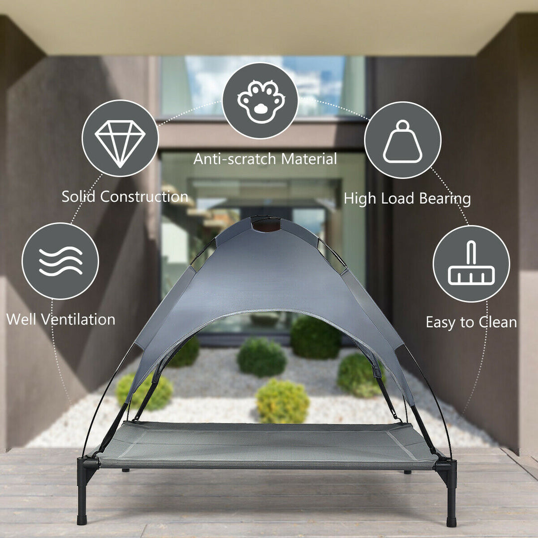 Elevated Pet Bed with Removable Canopy