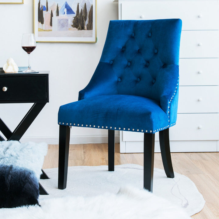 Modern Button Tufted Velvet Studded Dining Chair with Nail head Trim - TidySpaces