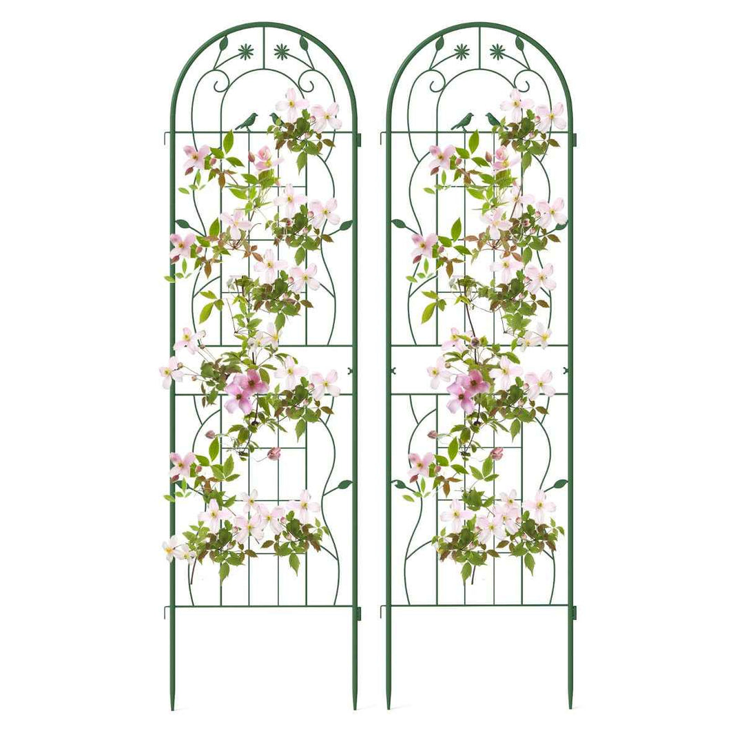 Metal Garden Trellis for Climbing Plants – Durable Support Structure for Outdoor Gardening