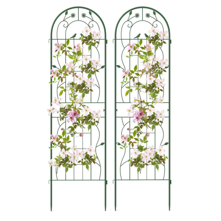 Metal Garden Trellis for Climbing Plants – Durable Support Structure for Outdoor Gardening
