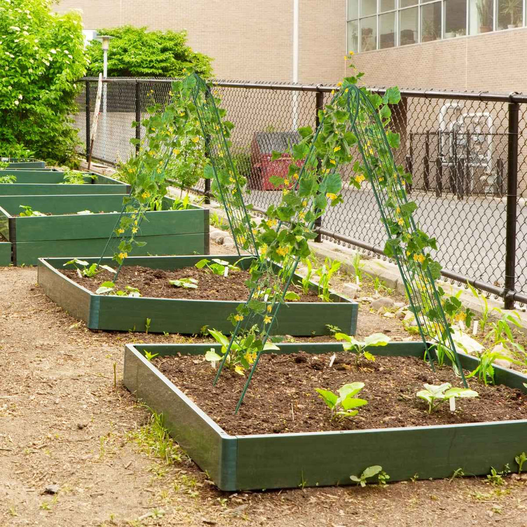 Metal Garden Trellis for Climbing Plants – Durable Support Structure for Outdoor Gardening