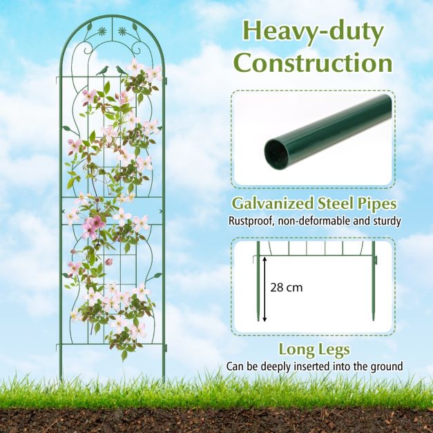 Metal Garden Trellis for Climbing Plants – Durable Support Structure for Outdoor Gardening
